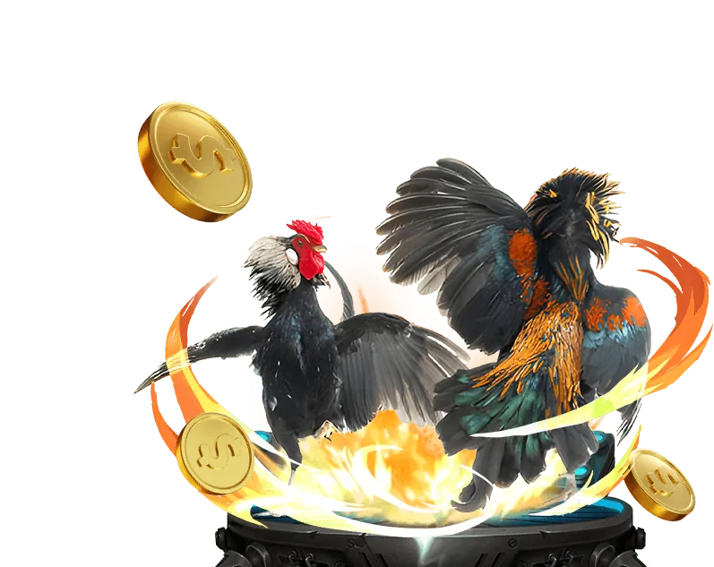 Chiến lược đặt cược và quản lý vốn